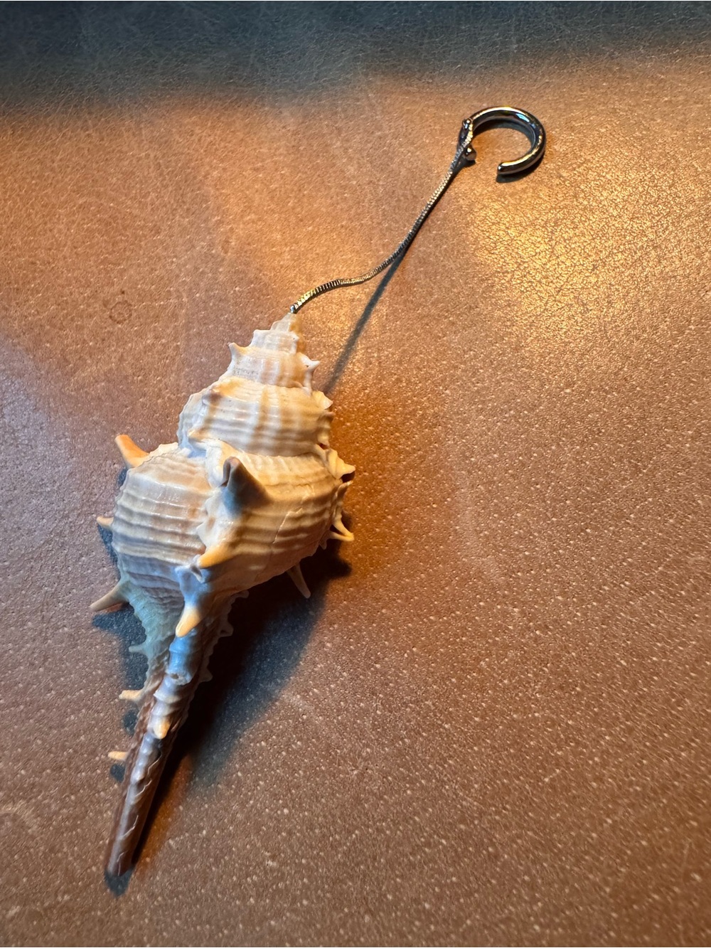 Shell earcuff earring single ๐ - Picture 4 of 9